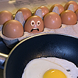 Egg Carton Test