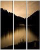 Silent Pictures� Panels
