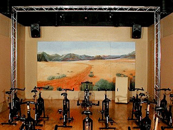 Gymnasium & Fitness