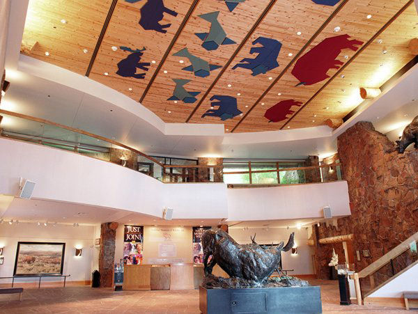 Educational & Museums