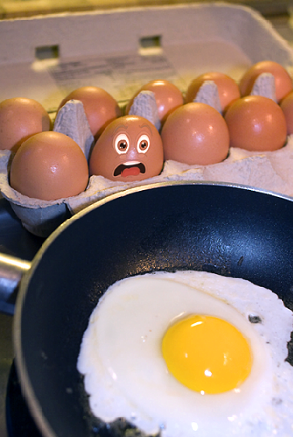 Egg Carton Test