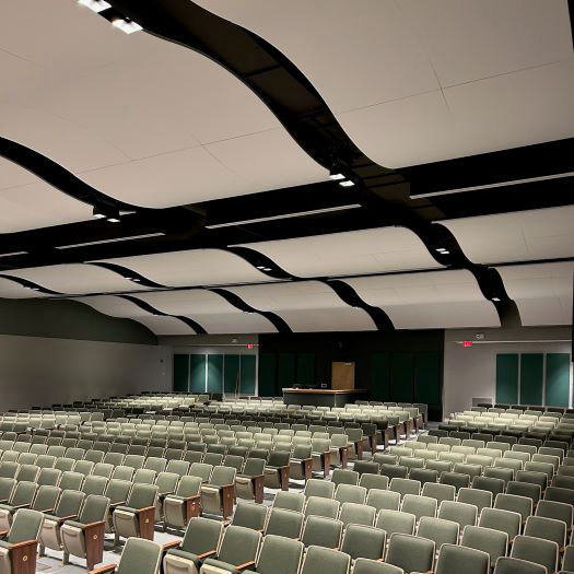 Acoustics Treatments for Ceilings